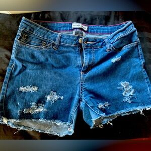 CELLO JEANS Denim Shorts Size 13
